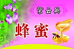 紫云英蜂蜜