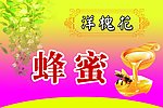 洋槐花蜂蜜