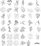 精美花纹