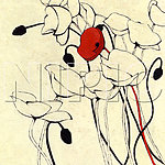 花卉油画64 ( 60厘米 X 60厘米 )