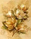 花卉油画02 ( 40厘米 X50厘米 )