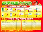 新华鲁抗单页