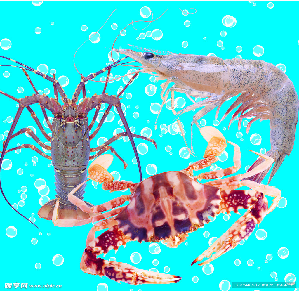 海鲜