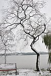 雪景