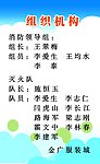 组织机构展版