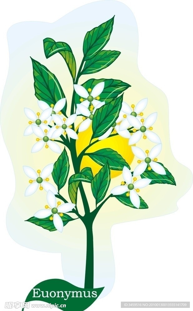 矢量植物
