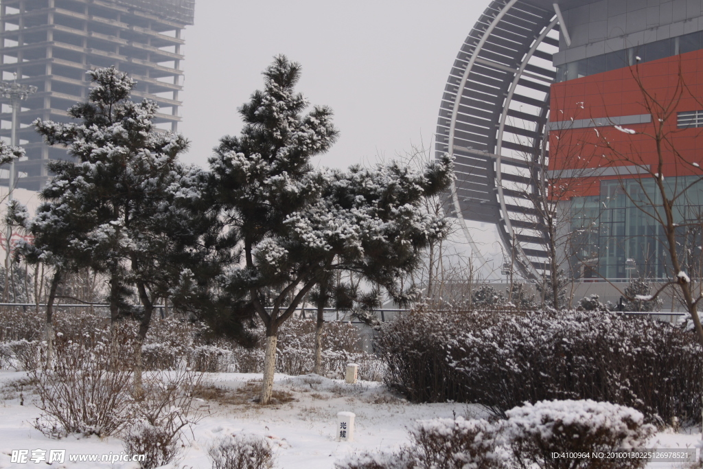 雪后轻松