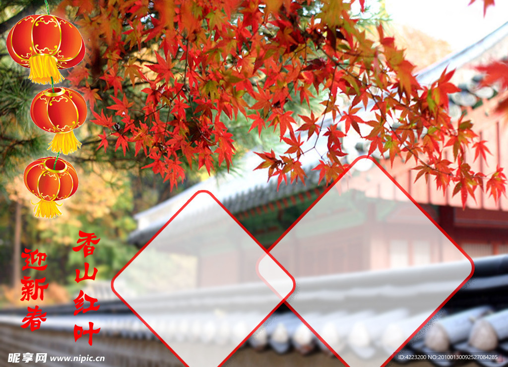 香山红叶迎新春
