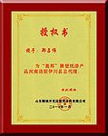 授权奖牌