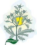 矢量图库 植物