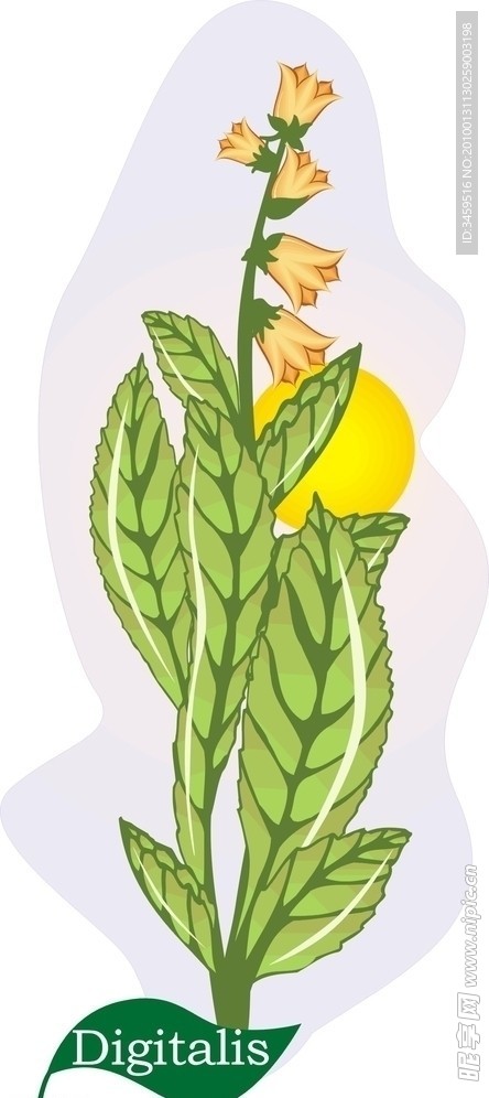矢量花 矢量植物