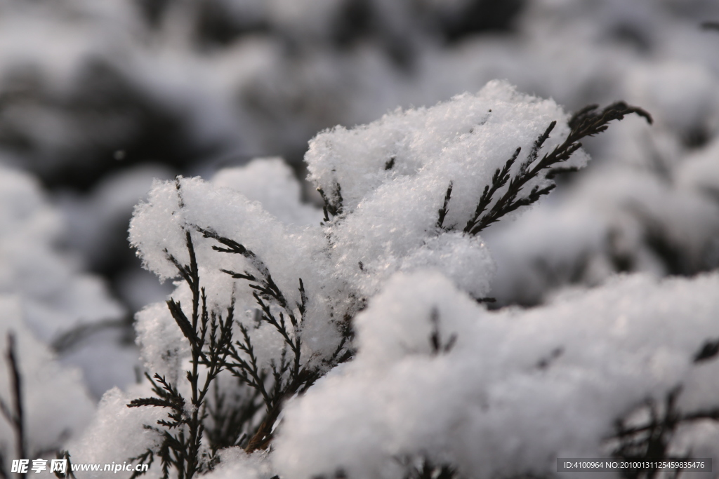 雪花