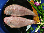 中华美食菜