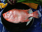 中华美食菜