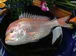 中华美食菜