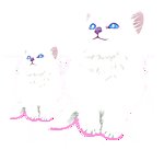 可爱猫咪psd