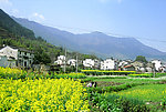 乡村风光