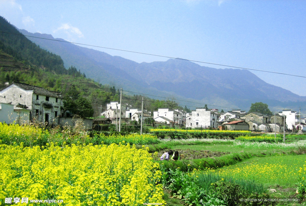 乡村风光