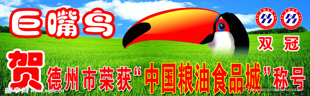 巨嘴鸟