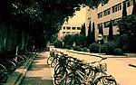 南京大学原浦口校区校园一角