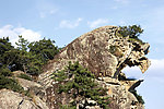 山景