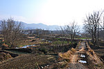 山村