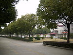 新农村
