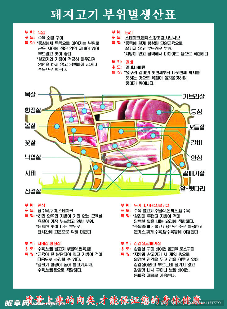 猪肉分解图