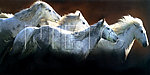 动物油画02 ( 40厘米 X 80厘米 )