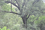 自然风景