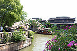 春风又绿江南岸