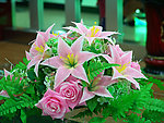 屋里的假花