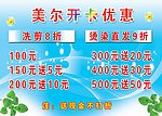 天蓝叶草