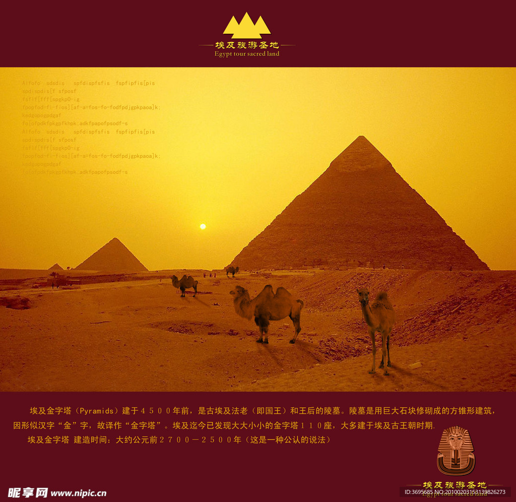 埃及 骆驼 夕阳西下 金字塔 国王 埃及旅游区 经典海报 金色梦 回忆 童年