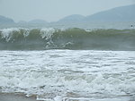 海浪