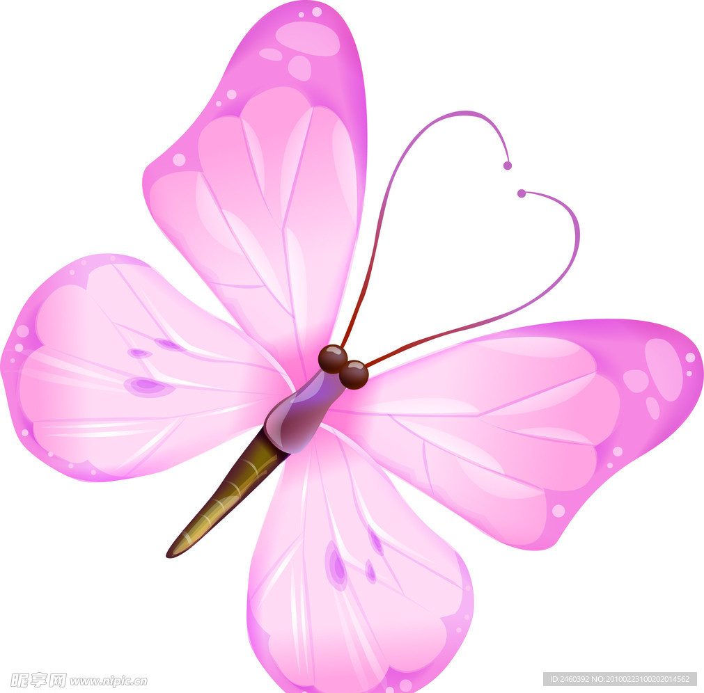 粉红色蝴蝶