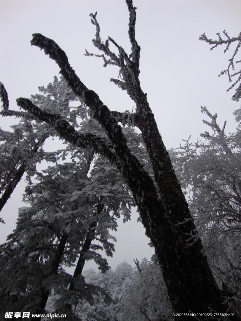 贡嘎山雪景