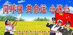 同呼吸共命运心连心