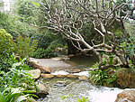 天河公园 小溪 山涧 流水 园林