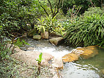 天河公园 小溪 山涧