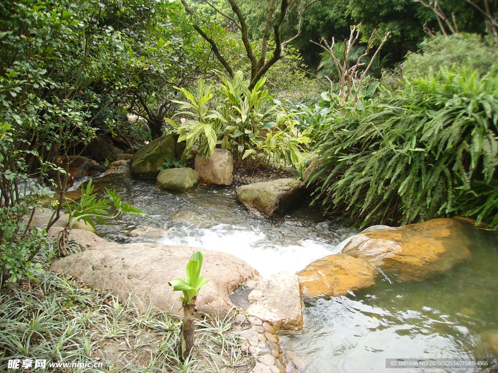 天河公园 小溪 山涧