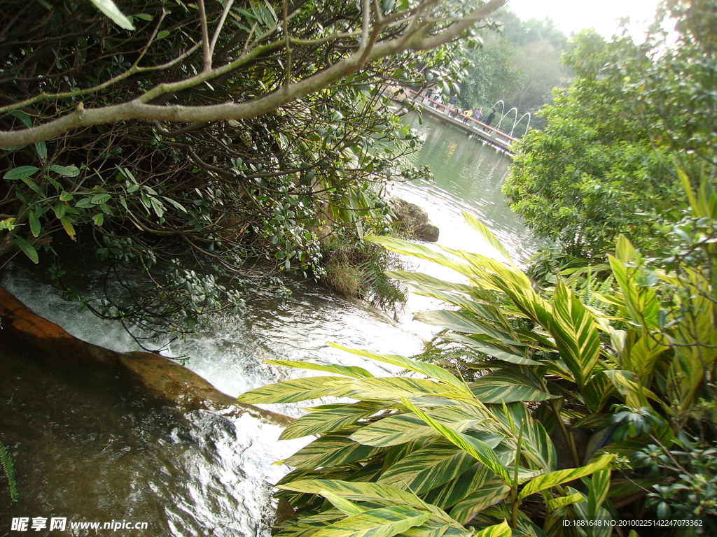 小溪 山涧 流水