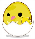 小鸡