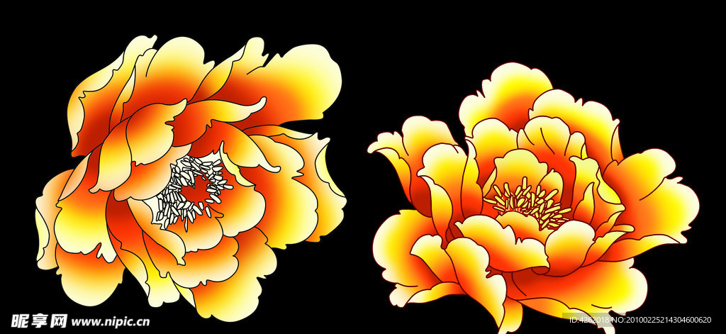 黄花