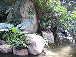 山涧 水 流水 小溪 绿化 园林