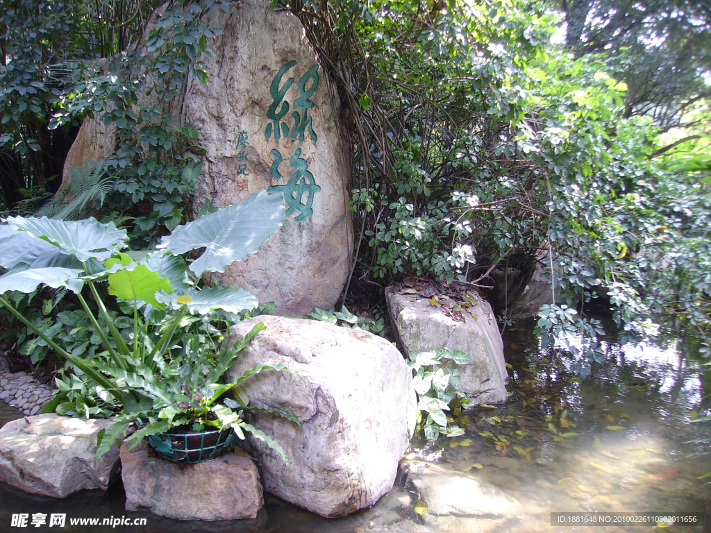 山涧 水 流水 小溪 绿化 园林