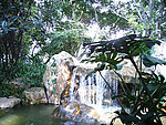 山涧 水 流水 小溪