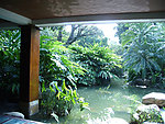 园林 绿化 植物 建筑