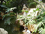 山涧 水 流水 小溪 园林 绿化