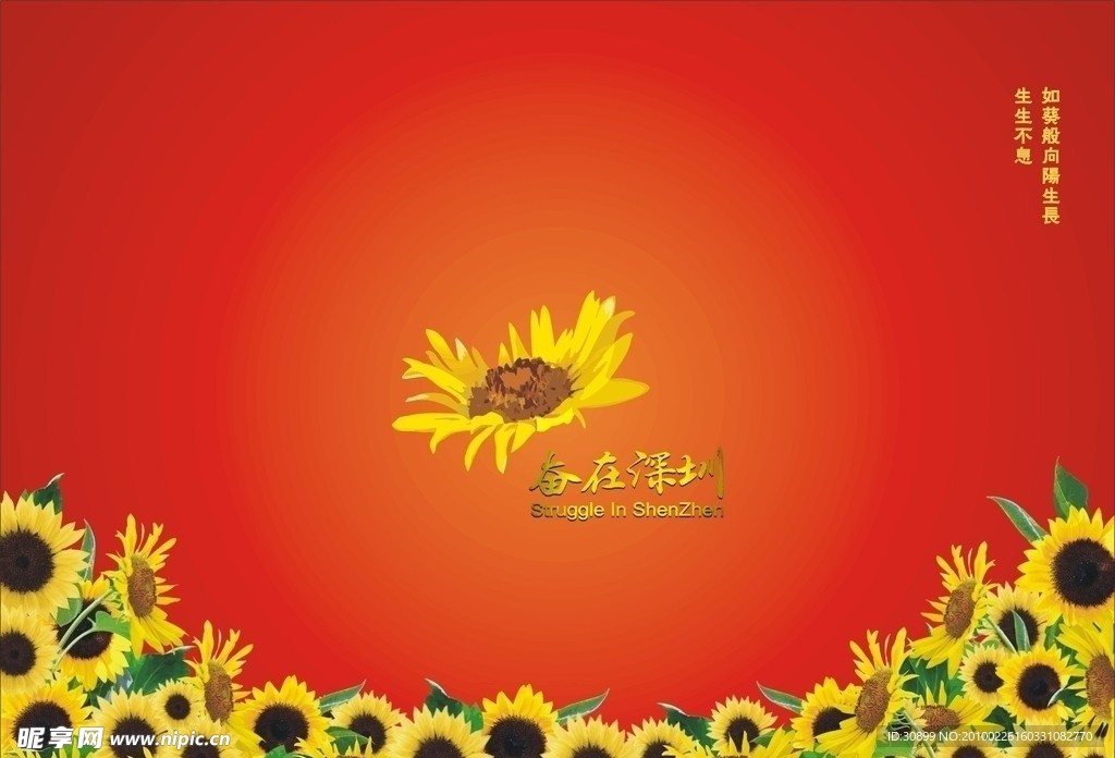 奋在深圳